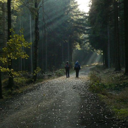 Zimmervermietung-Heide-Fiege Hartmannsdorf bei Chemnitz Esterno foto